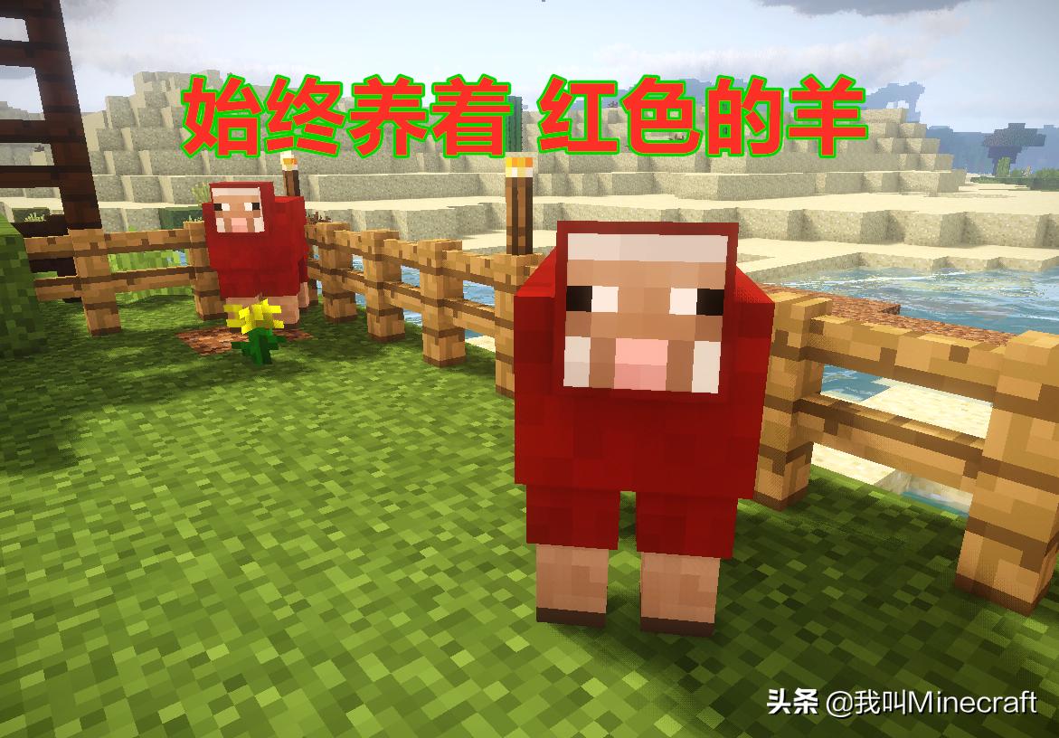 我的世界mc老玩家才知道秘密,我的世界mc老玩家的秘密