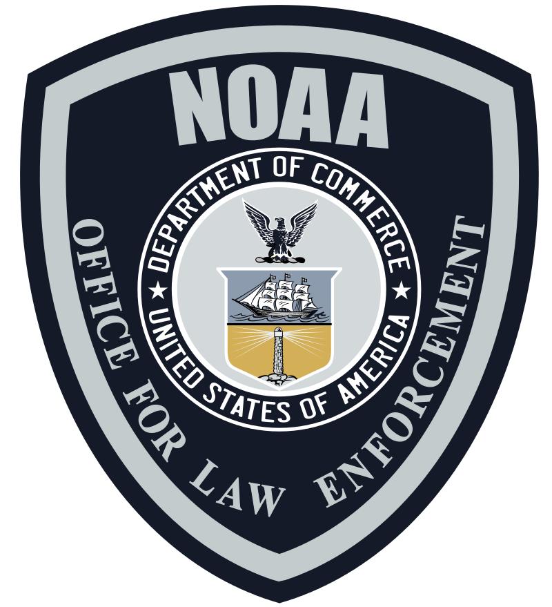 美国政体变化图,美国的政治体系图表