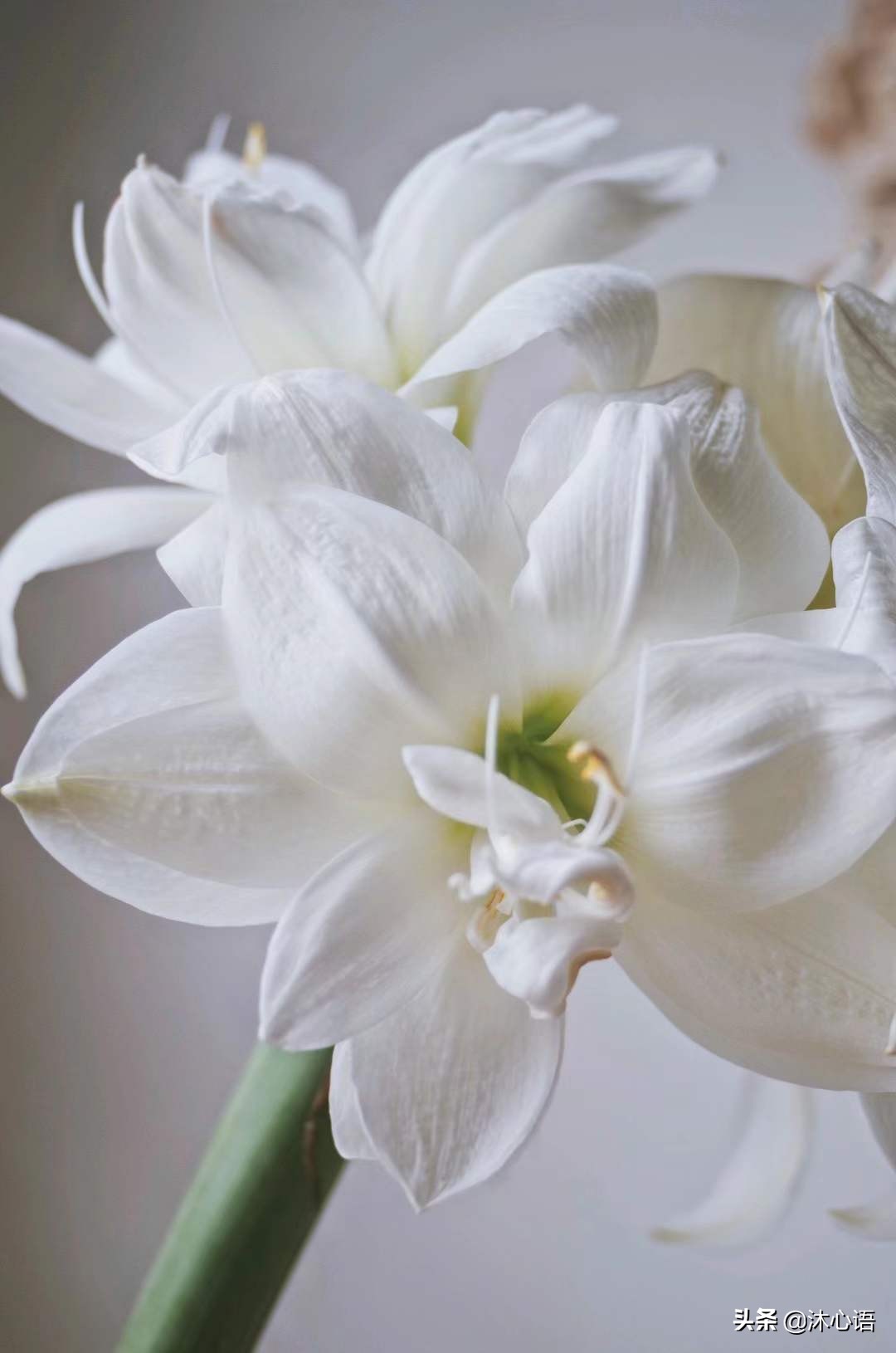 走了下坡路腿软怎么办,走在下坡路上