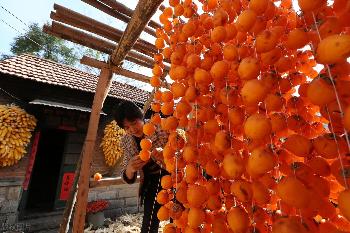 陕西是瓜果大省,陕西水果种植面积全国第一