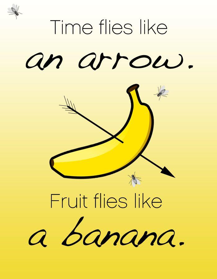 厨房果蝇小飞虫怎么消灭,厨房消灭果蝇的最好方法