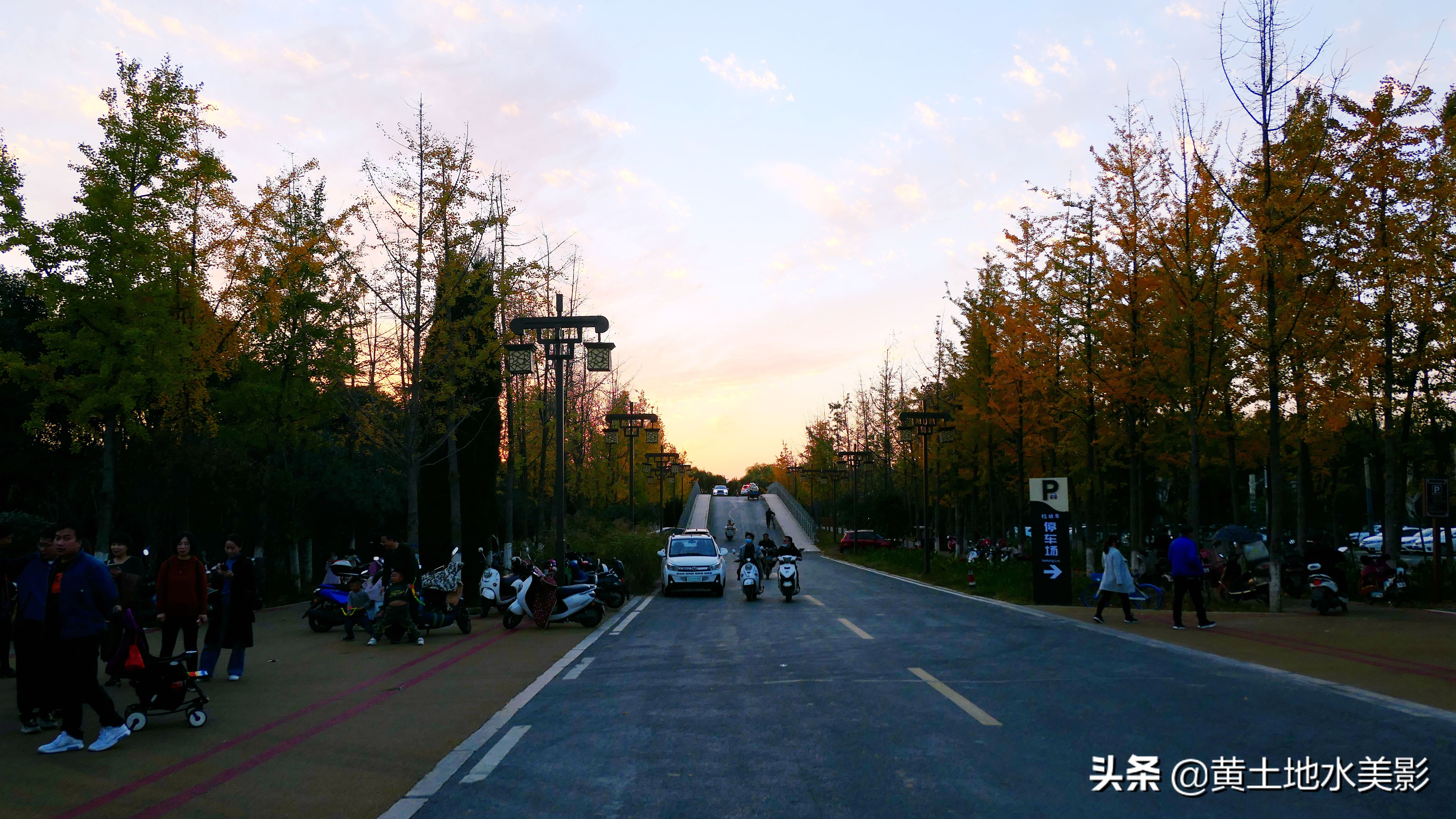 占地590亩的湿地公园,野生动物比较多的旅游景区