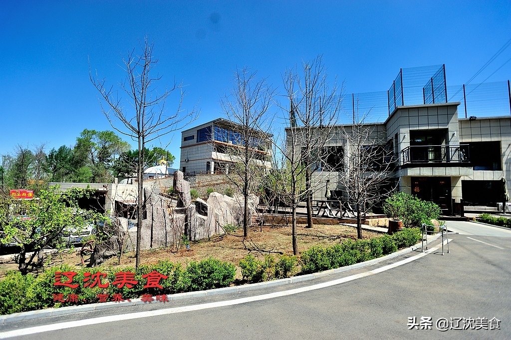 沈阳棋盘山满族风情村烤全羊,沈阳棋盘山莲花炖鱼馆烤全羊