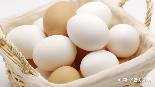 补眼食疗,补眼的食物和水果都有哪些