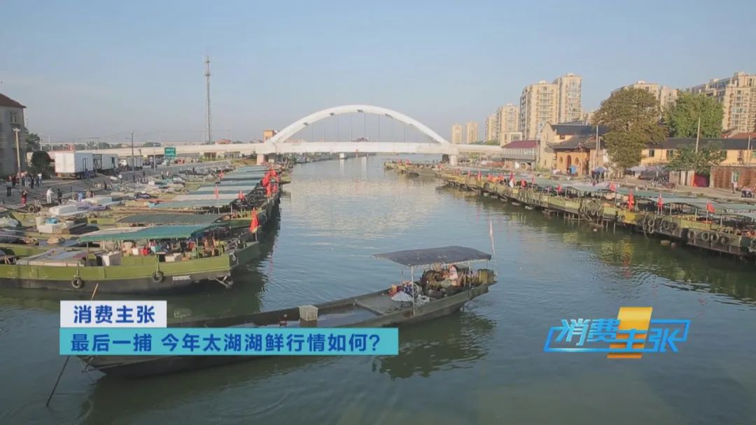 直击太湖开湖现场！鲜美湖鲜大量上市，资深吃货准备好了吗？