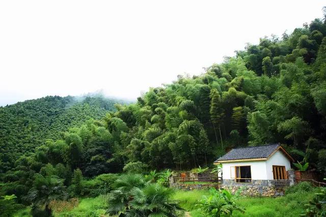 桐庐最美住宿,桐庐最美的客栈