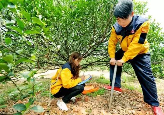 没有工具怎么测量土地,如何判定土壤肥力