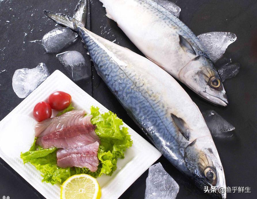 全国十大海鲜排名,中国海鲜十大产地排名最新