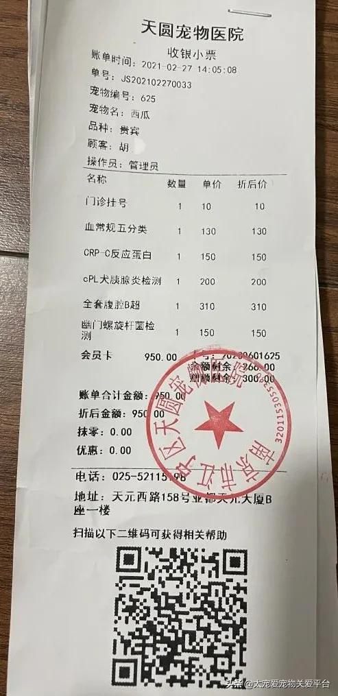 十二指肠溃疡丨太宠爱理赔案例南京天圆宠物医院