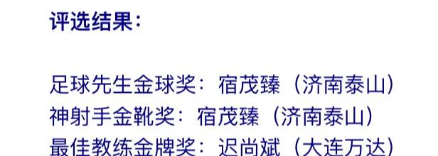 延边职业足球情况,延边职业足球比赛