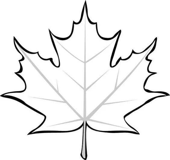 白描各种花朵,花朵白描图片大全大图