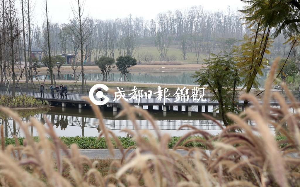 绿道新玩法,挑战成都环城绿道徒步攻略