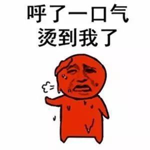 狗狗脚防烫伤,天气热狗狗脚烫伤怎么办