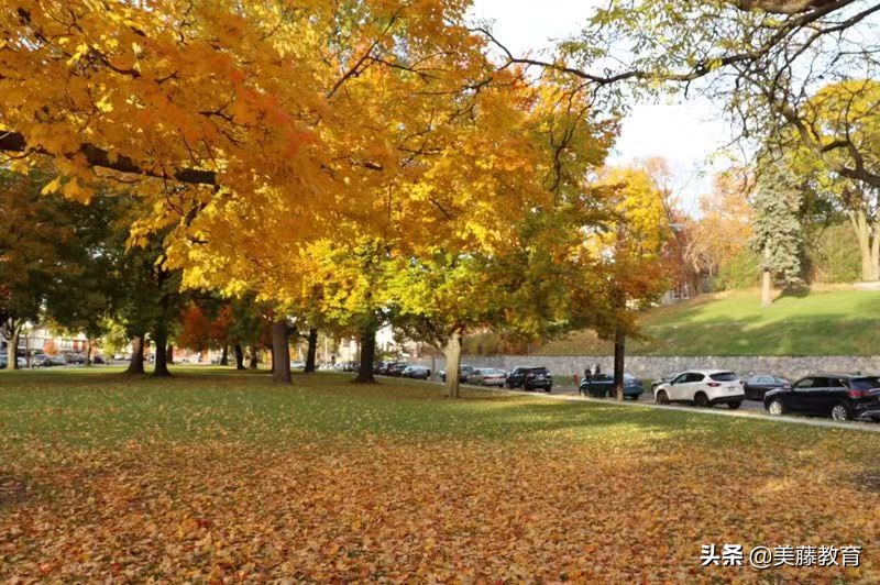 去美国留学有什么要求,去美国留学是什么意思