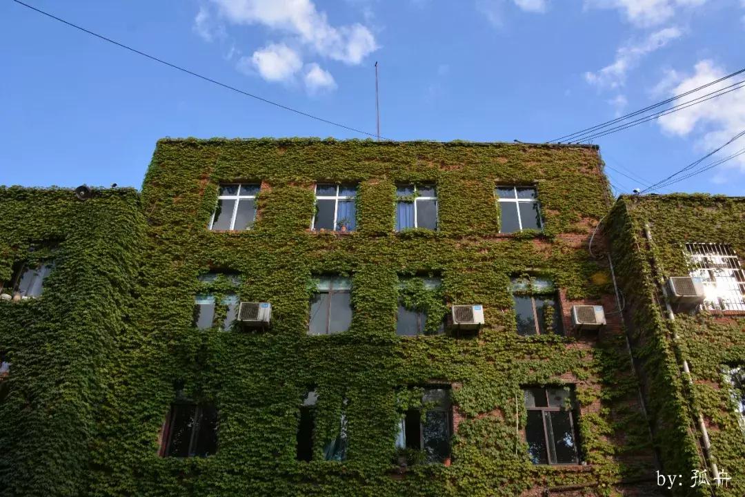 三线记忆大邑,三线记忆湖南