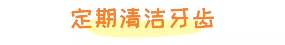 猫咪口臭去除神器,猫咪口炎