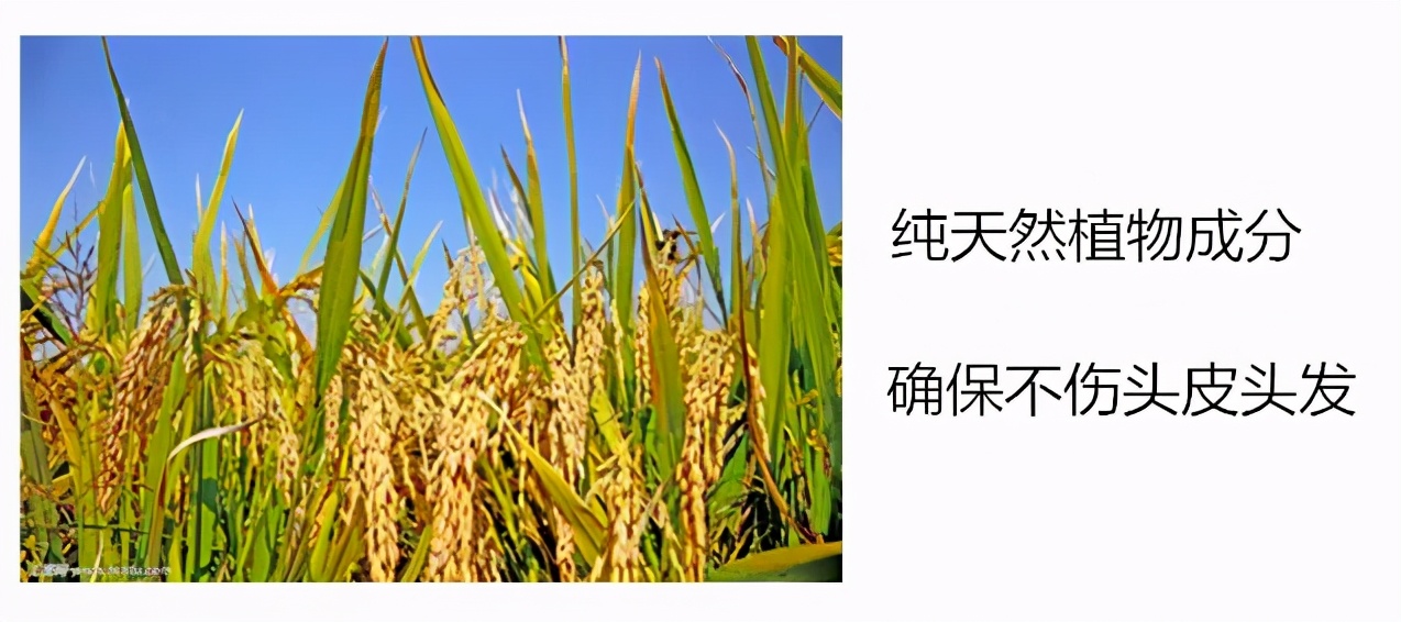 头发爱出油用什么可以变蓬松,头发油怎么才能头发蓬松干爽