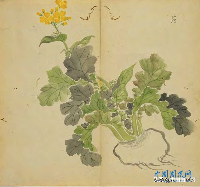 璇楃粡璁插爞,璇楃粡瑙嗛鍥藉璁插爞