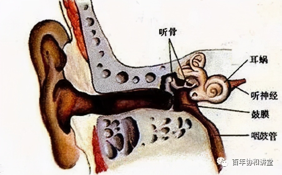 儿童突然中耳炎耳朵疼什么原因,半夜急性中耳炎怎么办