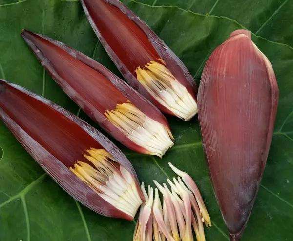 香蕉芭蕉米蕉哪个好吃,香蕉芭蕉还有什么蕉