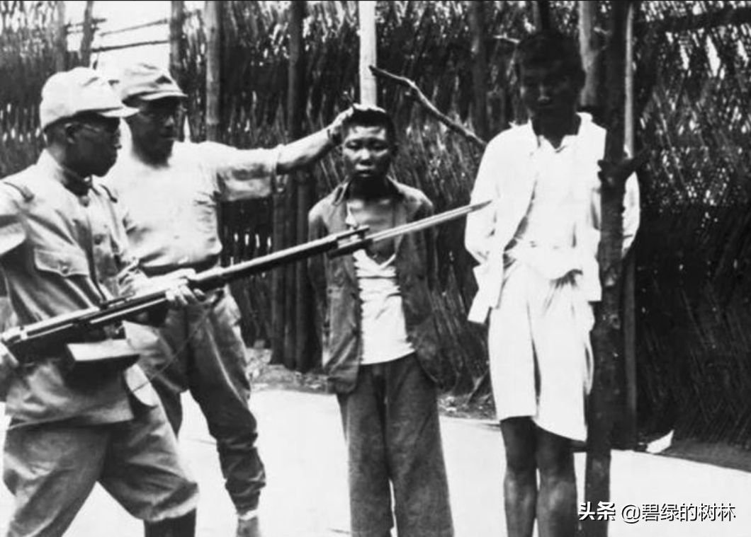 替日军暴行道歉,关于日本在华的暴行有何感想