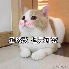 mpg转换mp4后怎么缩小,mp4转换mpg格式后清晰度下降