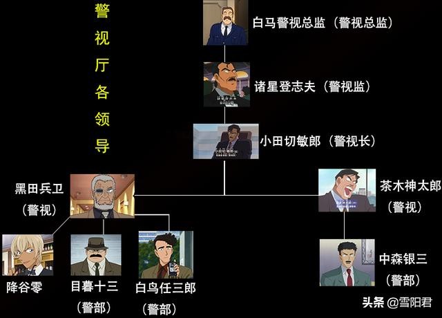 名侦探柯南警方知识,柯南案件揭秘