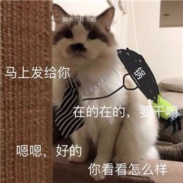 终于可以回去上班了表情包,关于要上班的表情包