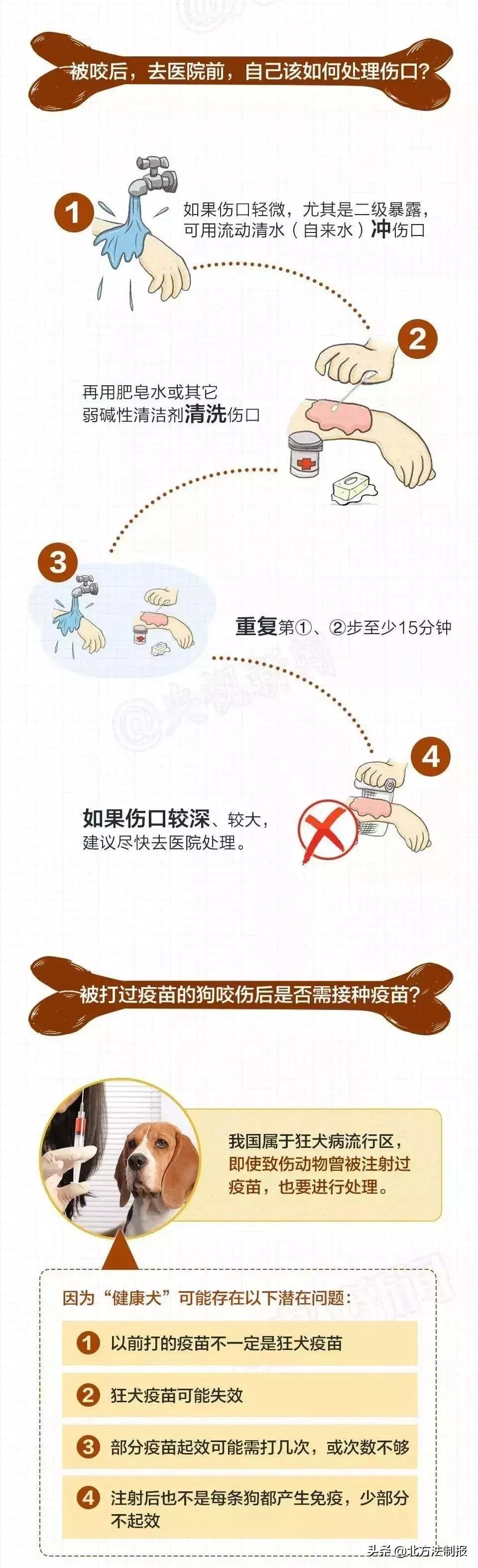 女子遛3只狗不牵绳！湖北男子遭狗撕咬*体下**受伤严重，缝了30多针