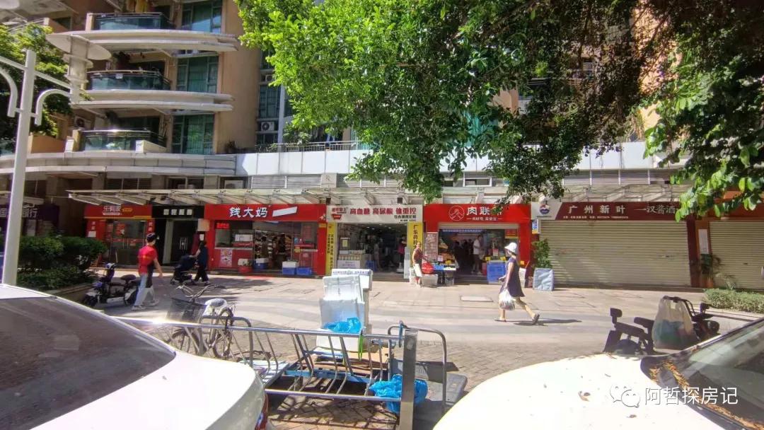 金融城骏景花园,广州天河金融城利好骏景花园