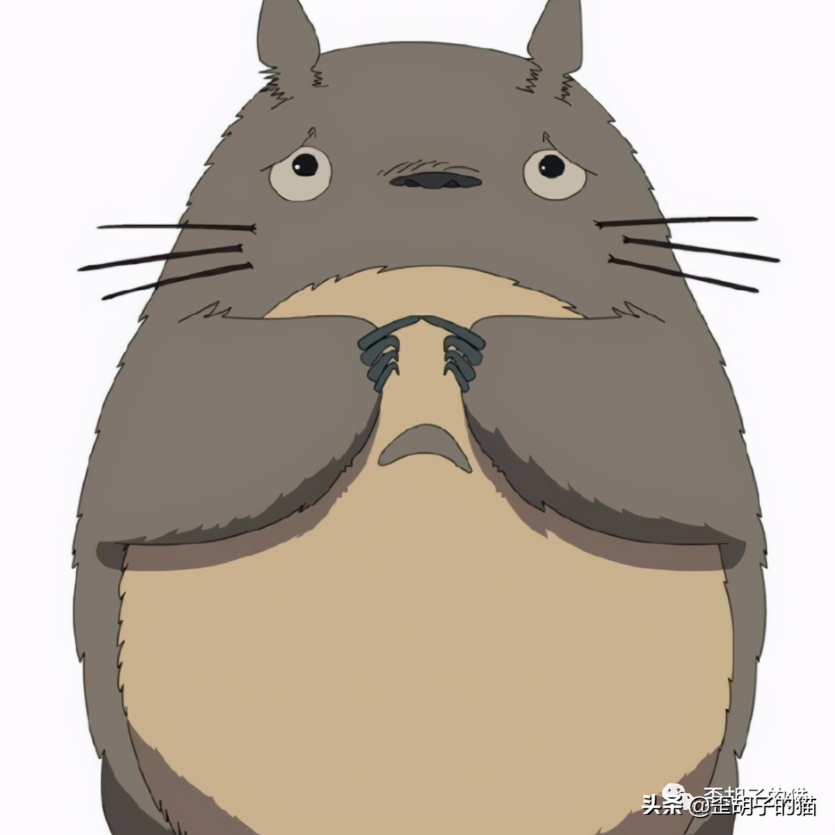 「歪胡子的猫」盘点中美日动漫中的猫咪现实中的样子