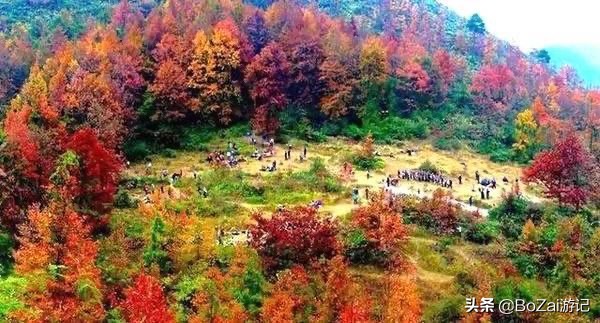 广西乡下田园最美风景图片,广西十大最美风景区