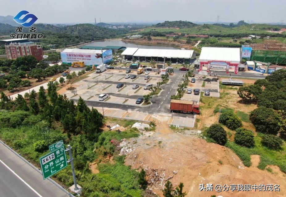 茂名荔枝大会,茂名市520荔枝产业大会