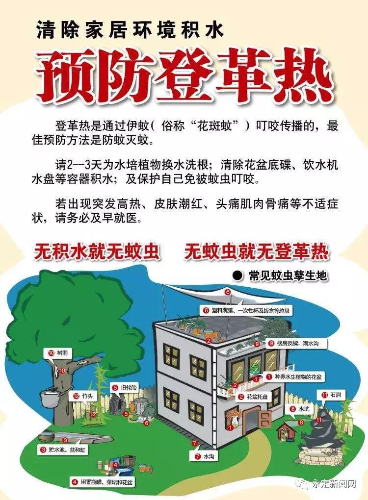 预防登革热温馨提示,防治登革热关键是要消灭什么