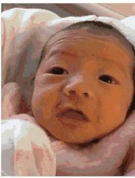 突如其来的搞笑gif,搞笑gif这才是真正的口若悬河