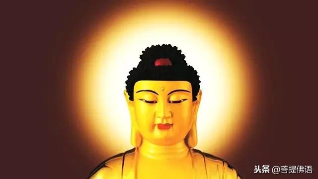 为世人祈福南无阿弥陀佛,南无阿弥陀佛2019年佛光普照