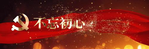 广西公安榜样人物陈子丽：践行为民初心，练就车管业务创新“专家”