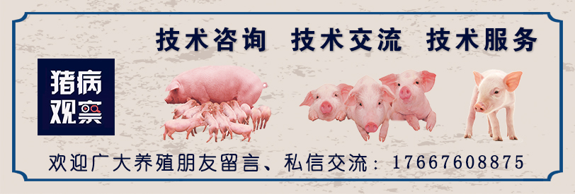 母猪产后不食偏方大全,母猪产后10天突然不爱吃食了