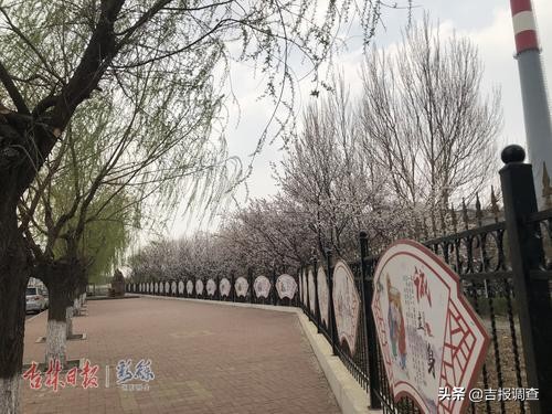 啥“好做法”让长春银融社区如此“不一般”？小伙伴看完都惊呆啦