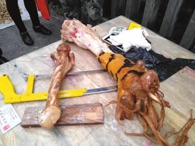 盘点文玩圈中不能碰的五种文玩,这6种文玩一定不要碰太吓人了