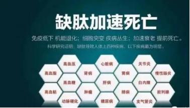 人体不可缺少的物质——肽