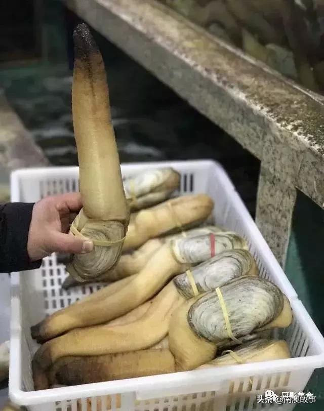 水煮贝壳类海鲜煮多久,海边海鲜用什么水煮好吃