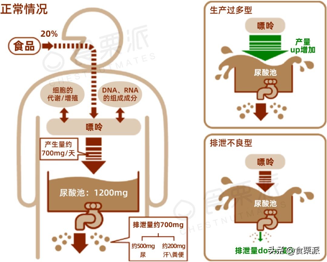 最容易痛风的豆制品,痛风大多数人误解豆制品