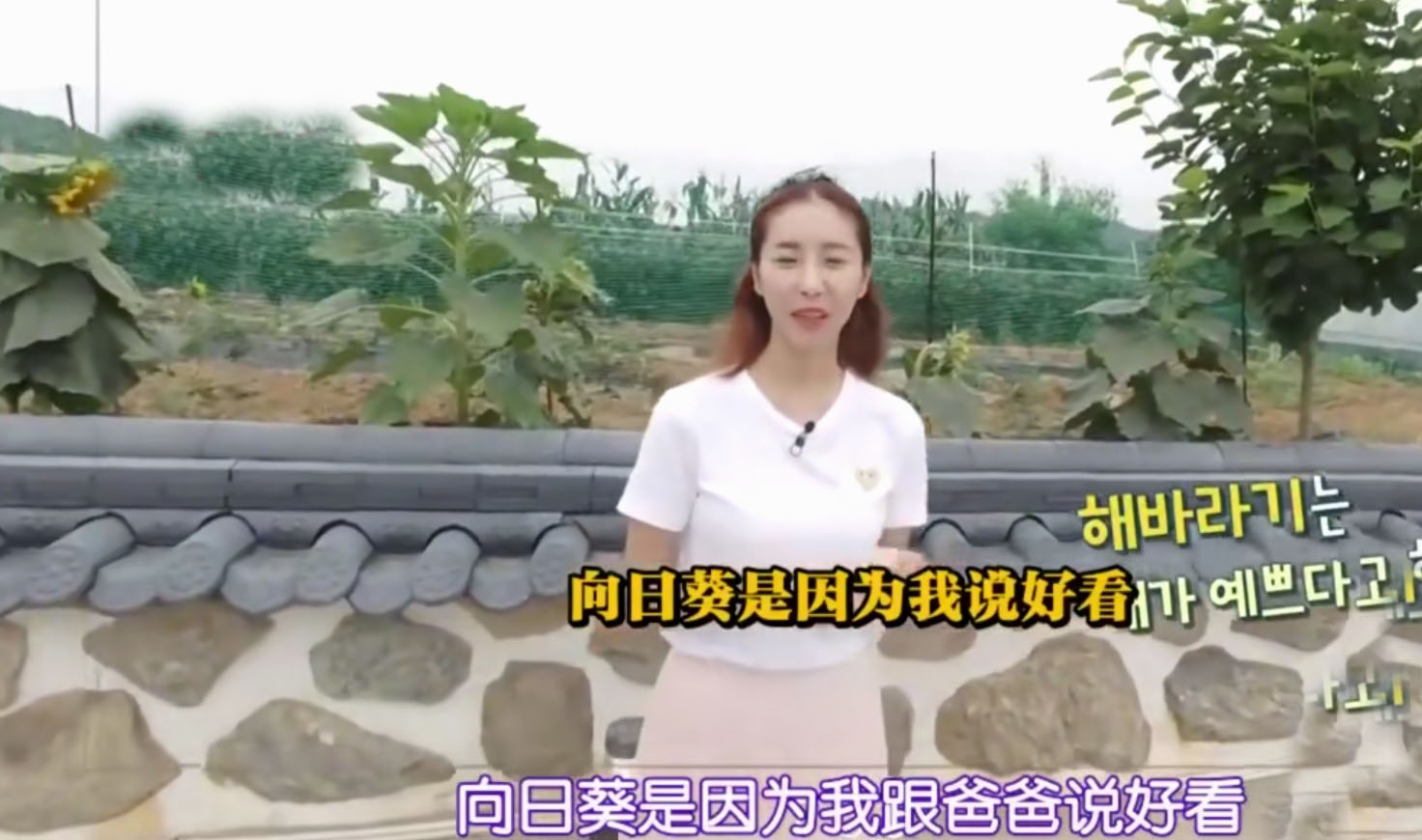 韩恩贞房子,韩恩贞的房子