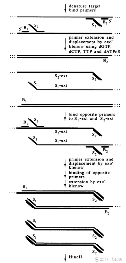 全场硬菜！分子诊断技术全解析
