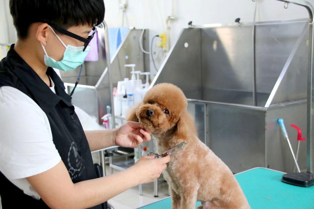 走进学者型院长的思维花园  专访明安星动物医院院长刘德