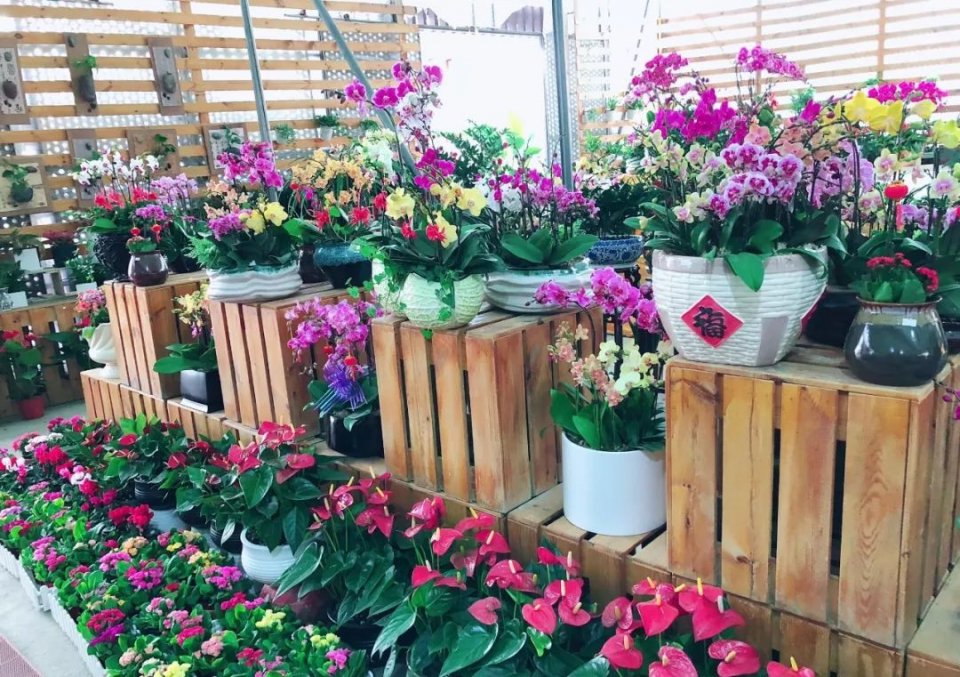 深圳最便宜年货批发市场货源,深圳年货市场哪里便宜