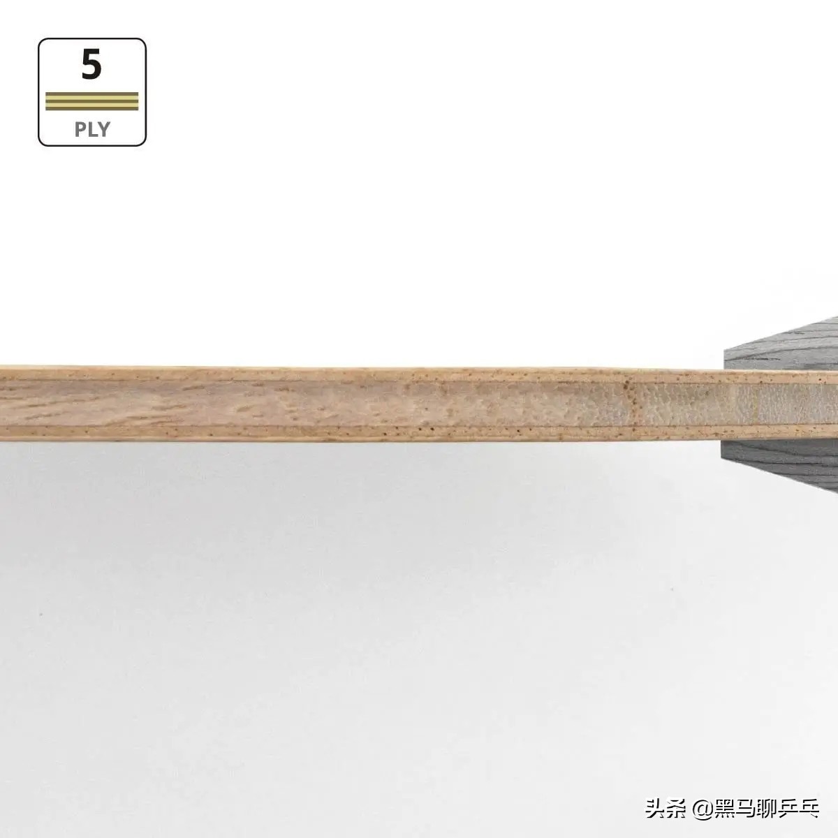 蝴蝶2021年新底板,蝴蝶2023最新款胶皮