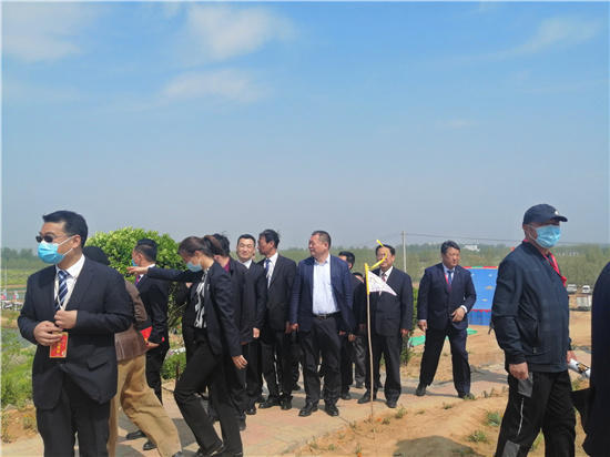 邱县第五届文冠果花节,邱县文冠花节掠影