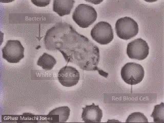 美容针美容的误区,为美而整容最后付出的代价